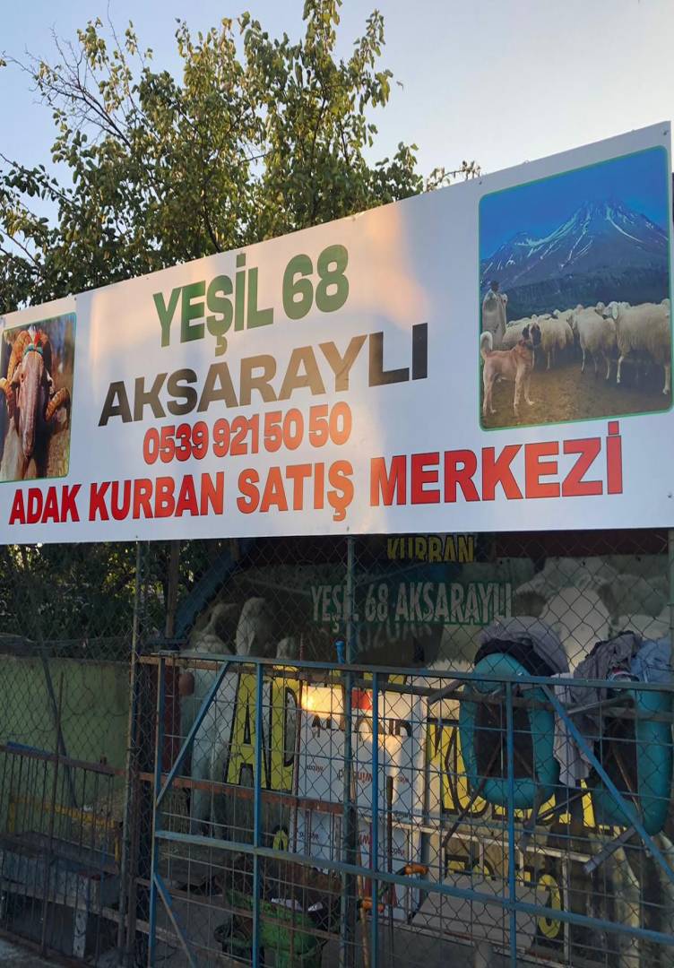 Adaklık Kurban İletişim